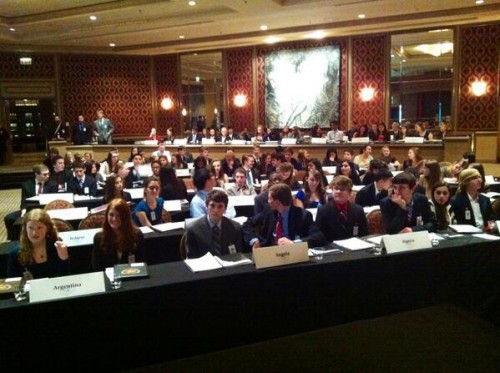 Delegates in the DISEC training committee