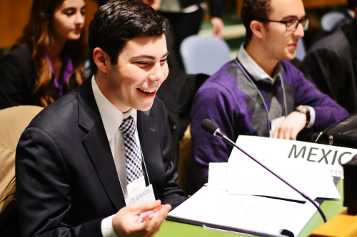 Delegate at the UN General Assembly