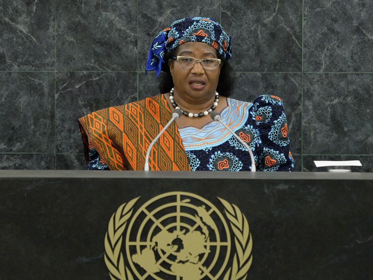 Joyce Banda Speaks at the United Nations General Assembly in New York in 2013.